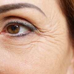 お肌のハリ・小ジワ