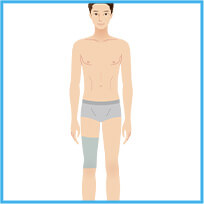 太もも前（右）