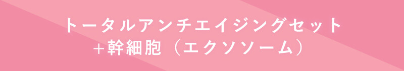 トータルアンチエイジングコース