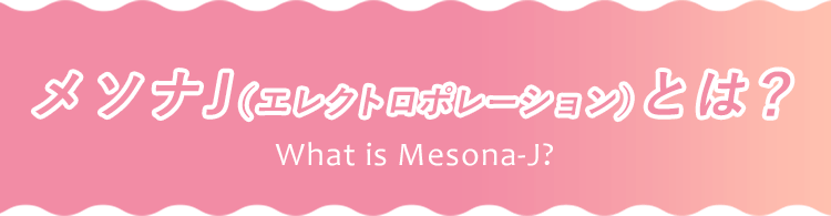 メソナJ（エレクトロポレーション）とは?