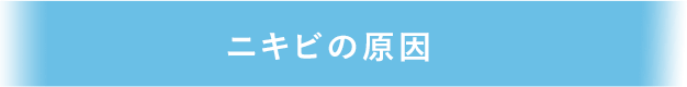 ニキビの原因