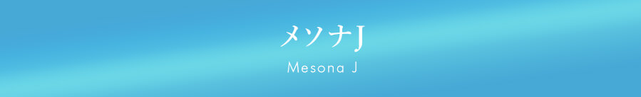 メソナJ