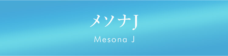 メソナJ